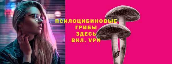 дурь Елабуга