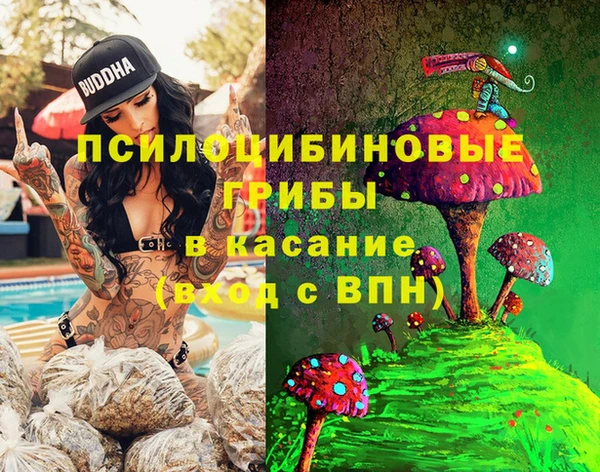 СК Алексеевка