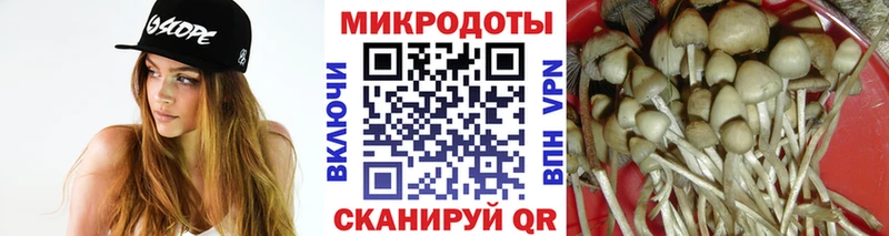 даркнет сайт ОМГ ОМГ tor Псилоцибиновые грибы Psilocybe Михайловск